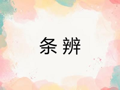 条辨