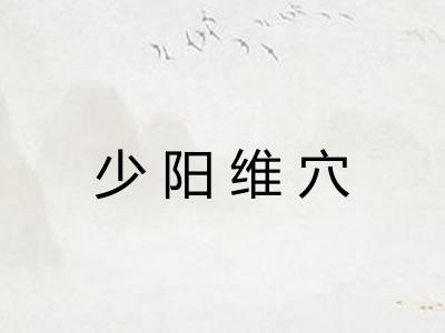 少阳维穴