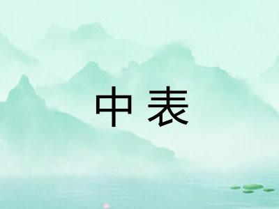 中表