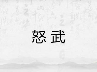 怒武