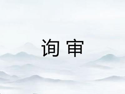 询审
