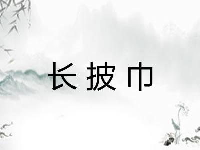 长披巾