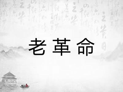 老革命