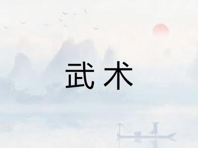 武术
