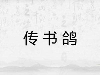 传书鸽