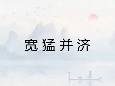 宽猛并济
