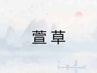 萱草