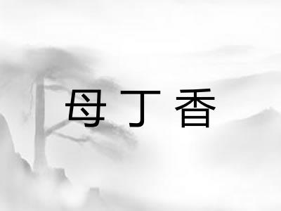 母丁香
