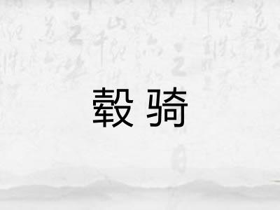 毂骑