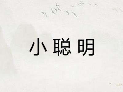 小聪明