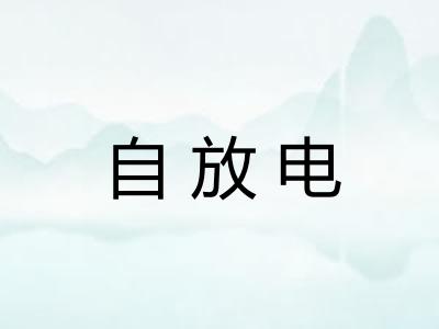 自放电