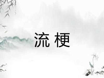 流梗