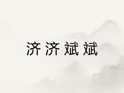 济济斌斌