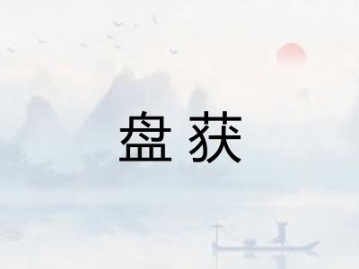 盘获