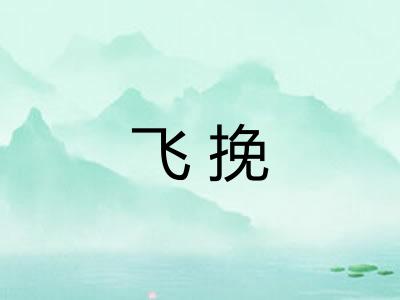 飞挽