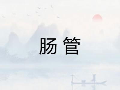 肠管
