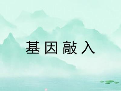 基因敲入