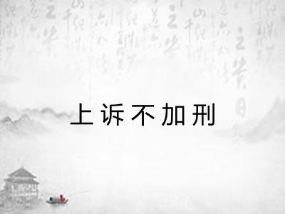 上诉不加刑