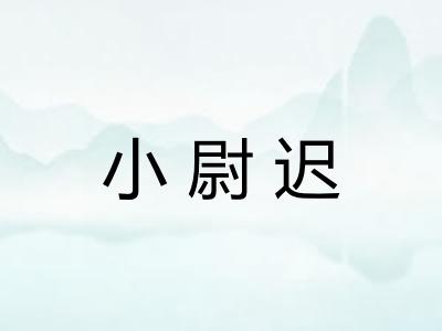 小尉迟