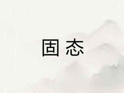 固态