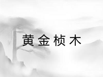 黄金桢木