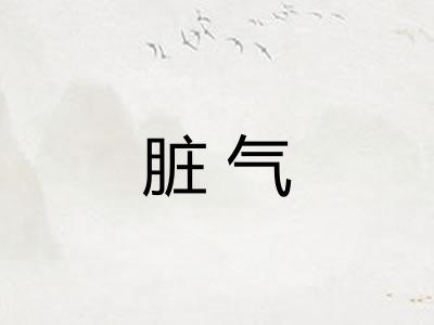 脏气