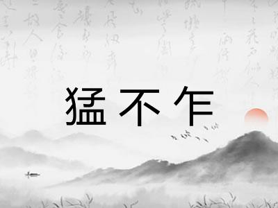猛不乍