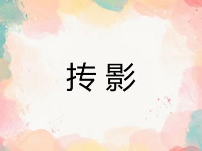 抟影