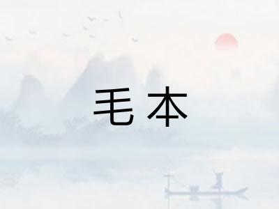 毛本