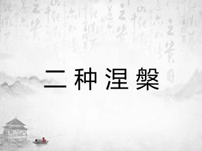 二种涅槃