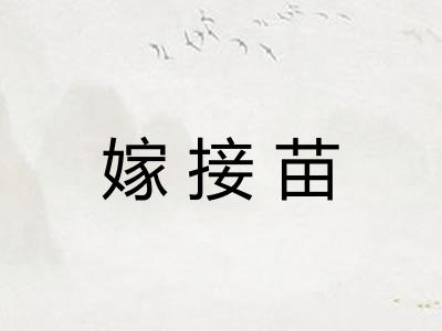 嫁接苗