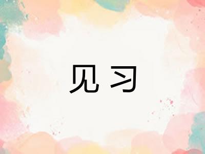见习
