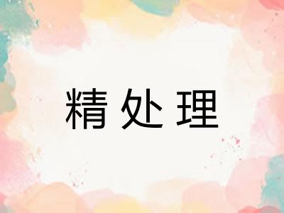 精处理