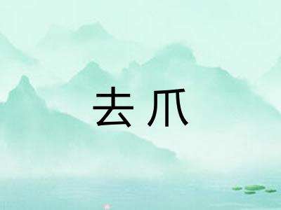 去爪