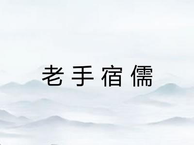 老手宿儒