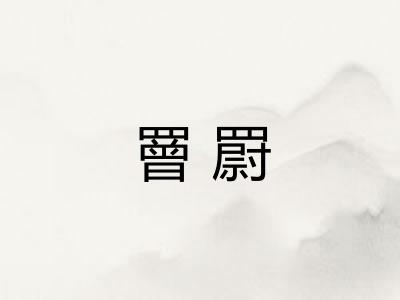 罾罻