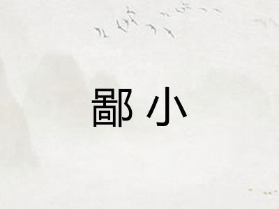 鄙小