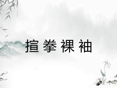 揎拳裸袖