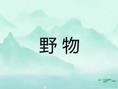 野物