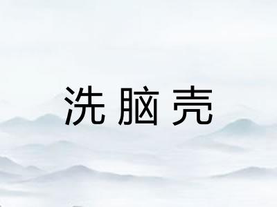 洗脑壳