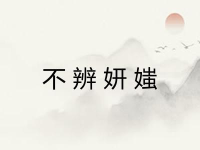 不辨妍媸
