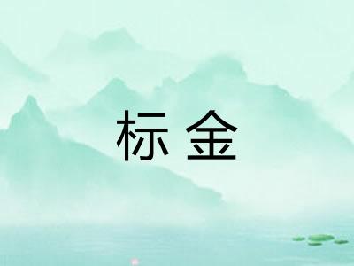 标金