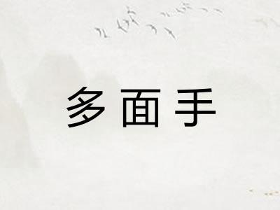 多面手