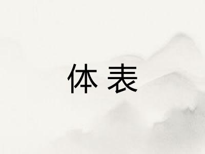 体表