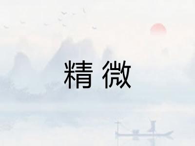 精微