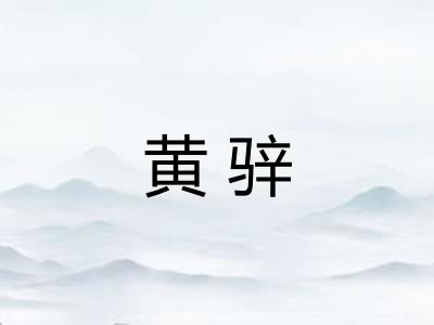 黄骍