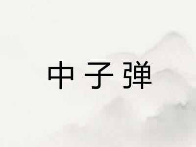 中子弹