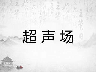 超声场