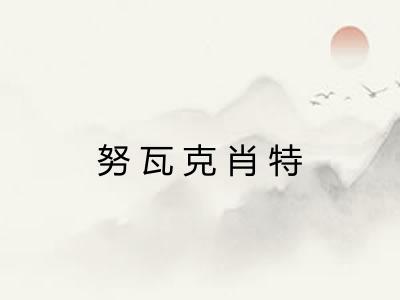 努瓦克肖特