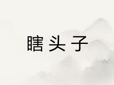瞎头子